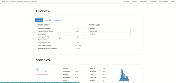 Pandas profiling Gif