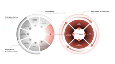 Data-Centric paradigm of AI development