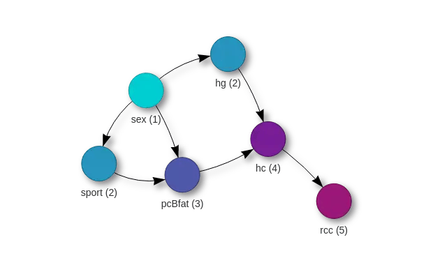 Example of a Bayes Network graph